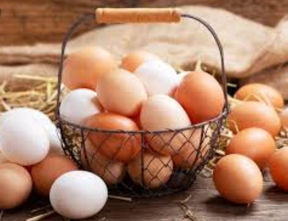  فوائد صحية يحتويها البيض تفيد مرضى نقص الكلس