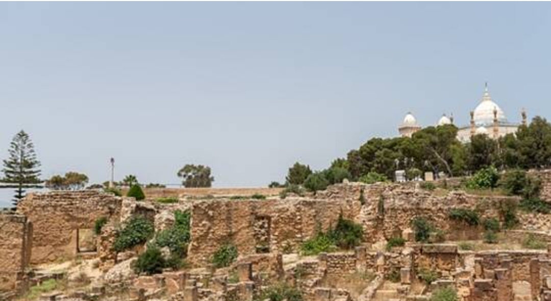  حرس الحدود التونسي يستعيد قطع أثرية مسروقة تعود للحقبة الرومانية