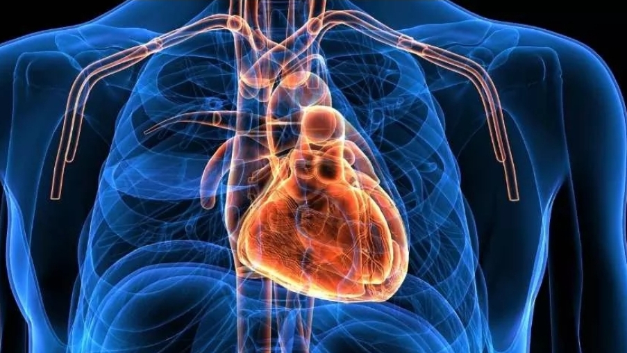 جهاز يساعد على تشغيل القلب بالعناية المركزة.