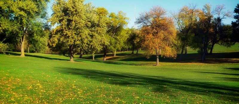 أهمية المساحات الخضراء على صحتك النفسية